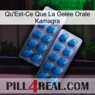 What Is Kamagra Oral Jelly viagra2